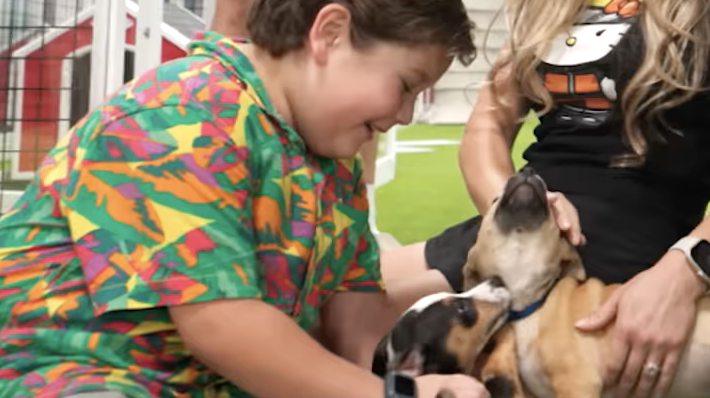 MrBeast's Heartwarming Mission: Finding Homes for 100 Stray Dogs