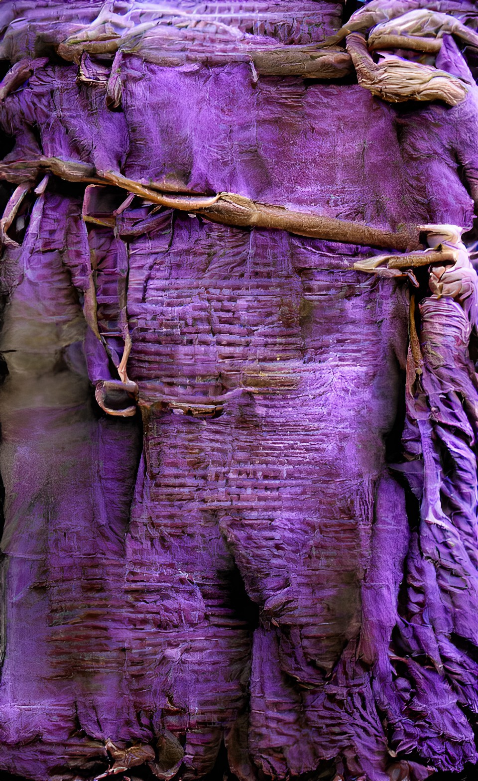 sackcloth and ashes purple preview