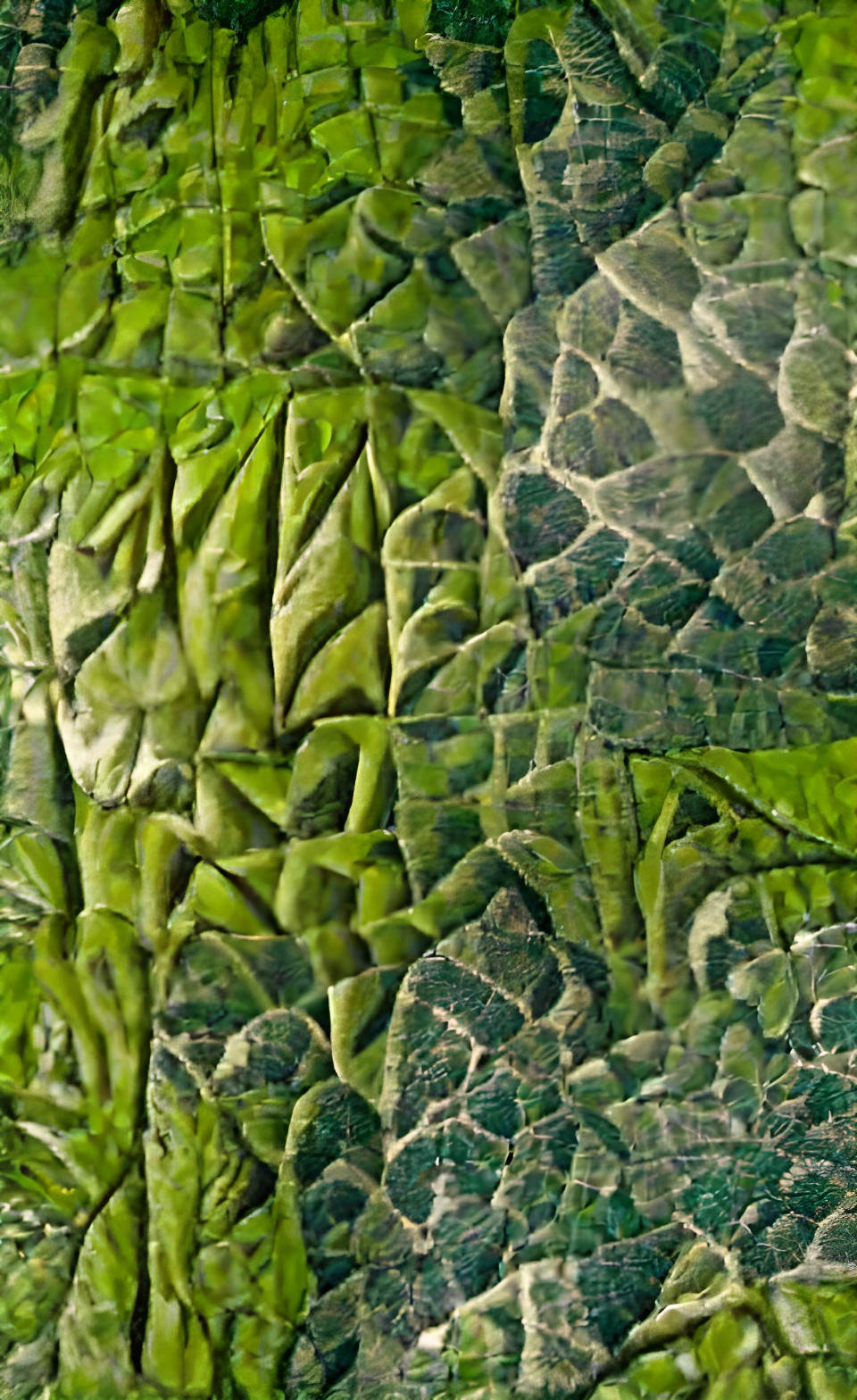 natural green patterns and textures preview