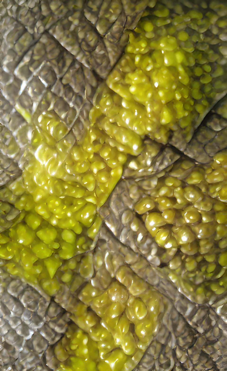 chartreuse textures preview