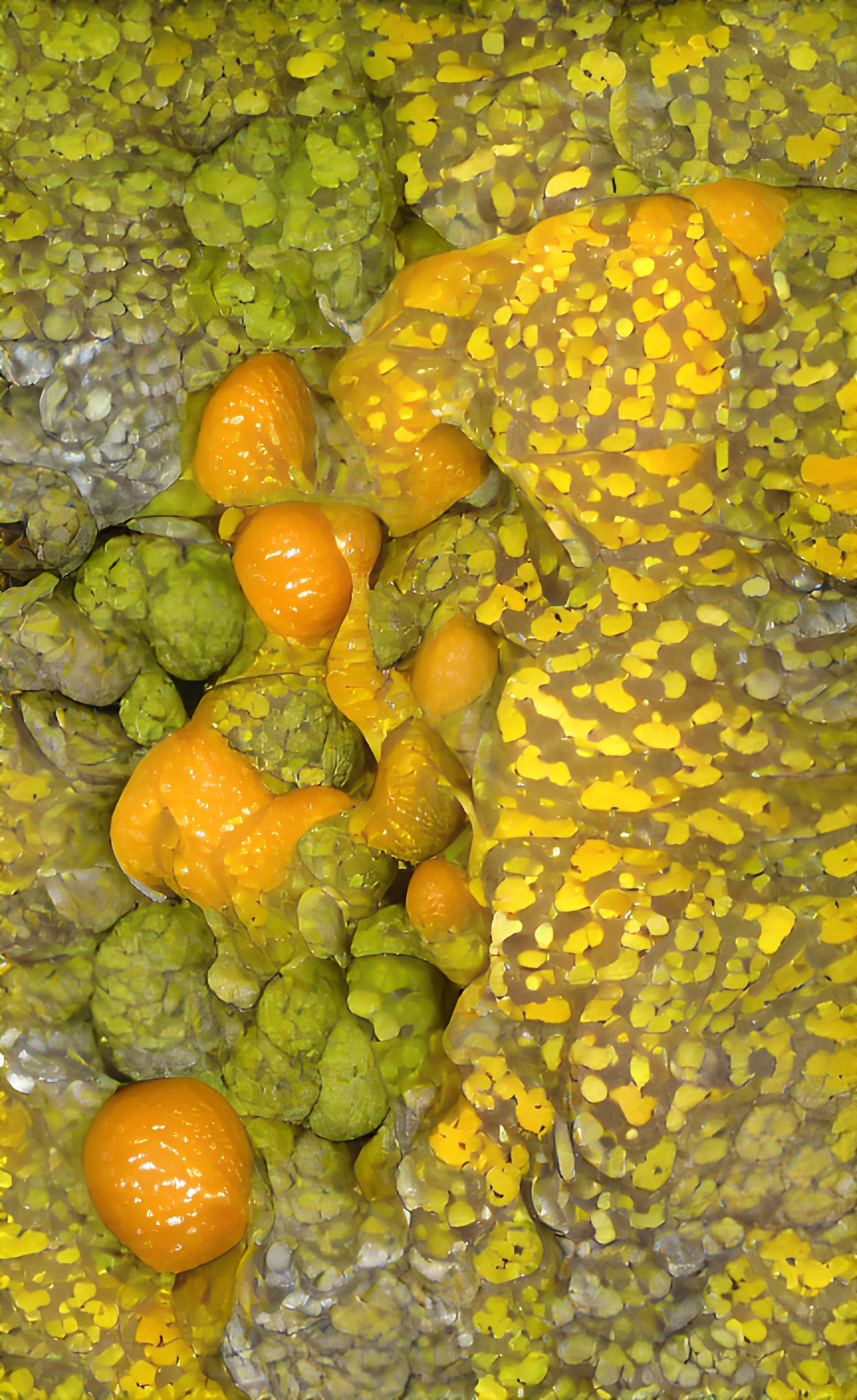 many different orange, yellow and chartreuse textures preview