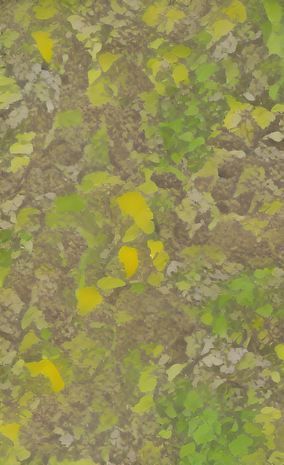 many different yellow, chartreuse, and green textures preview