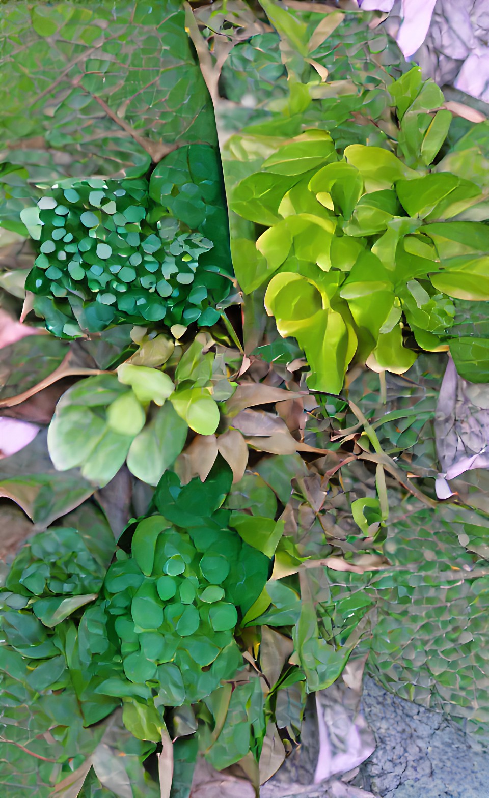 different hues of green preview