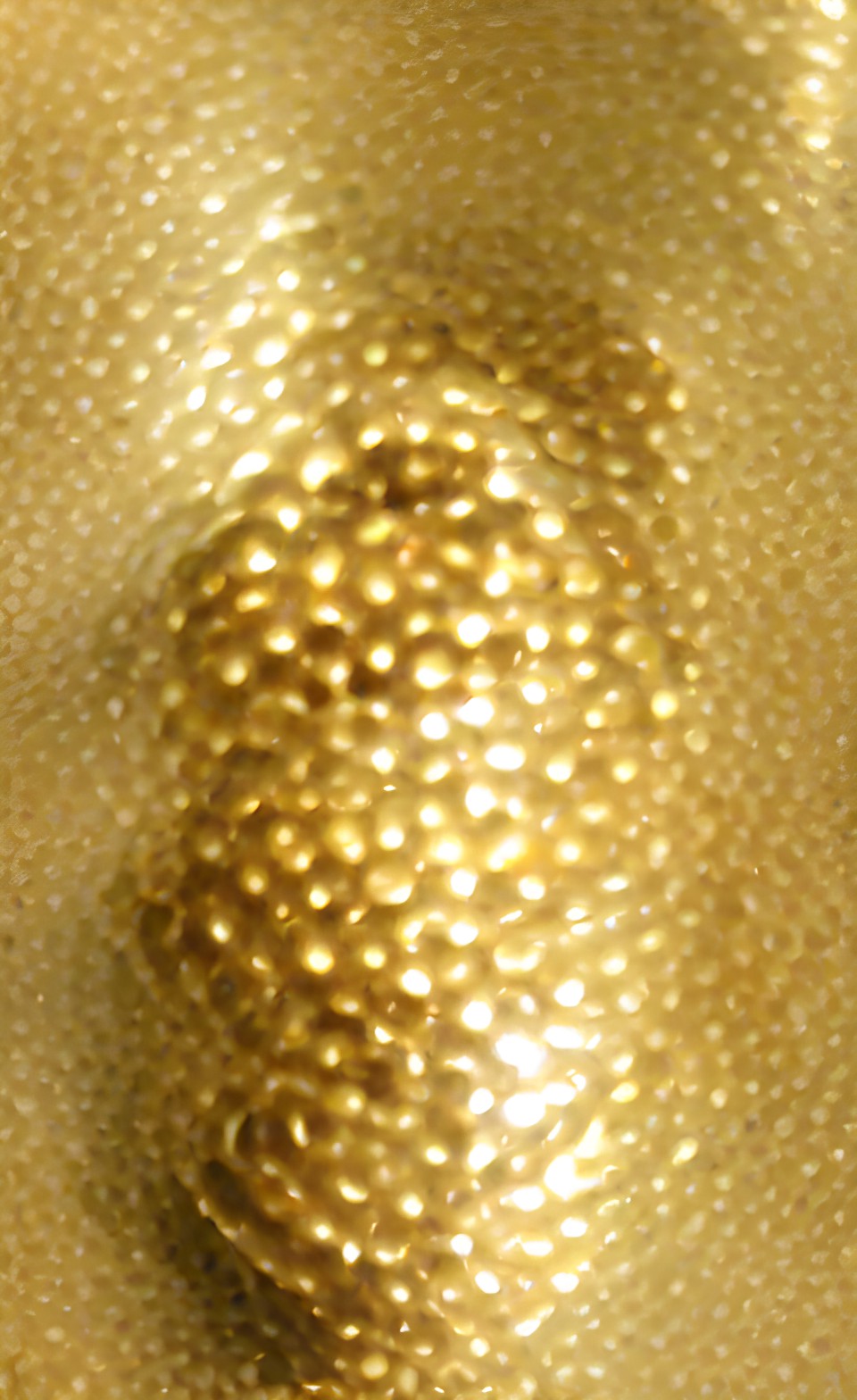 the ballthe golden preview