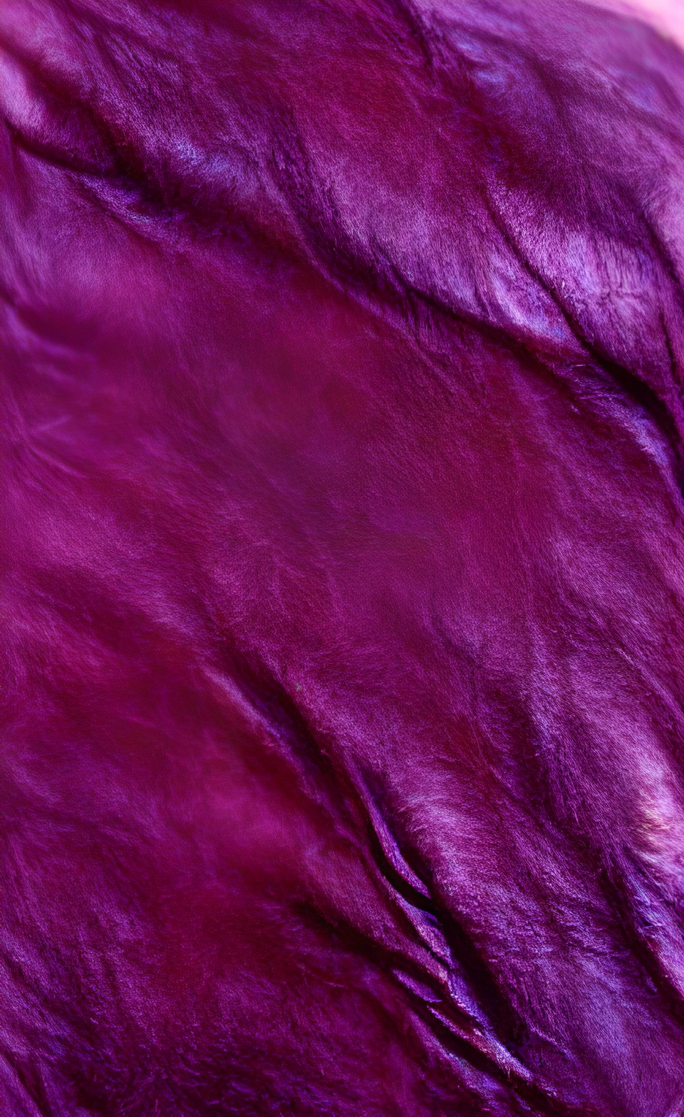 many shades of purple, violet, and reddish-purple preview