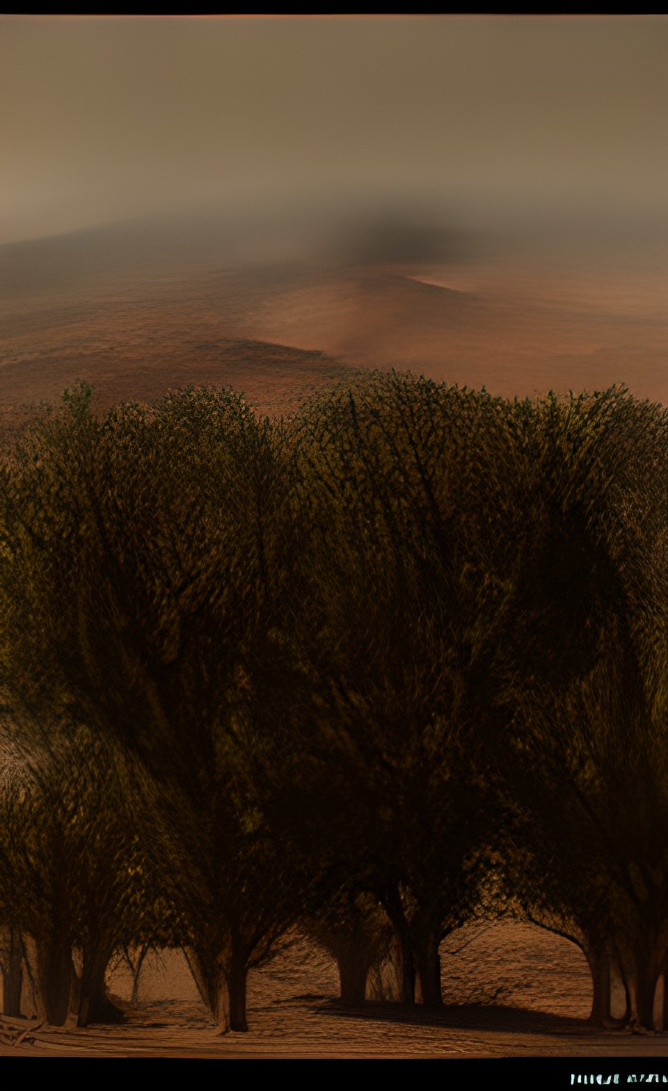 mars, war, iron, march, dry land, plants, trees, fruit, forest preview