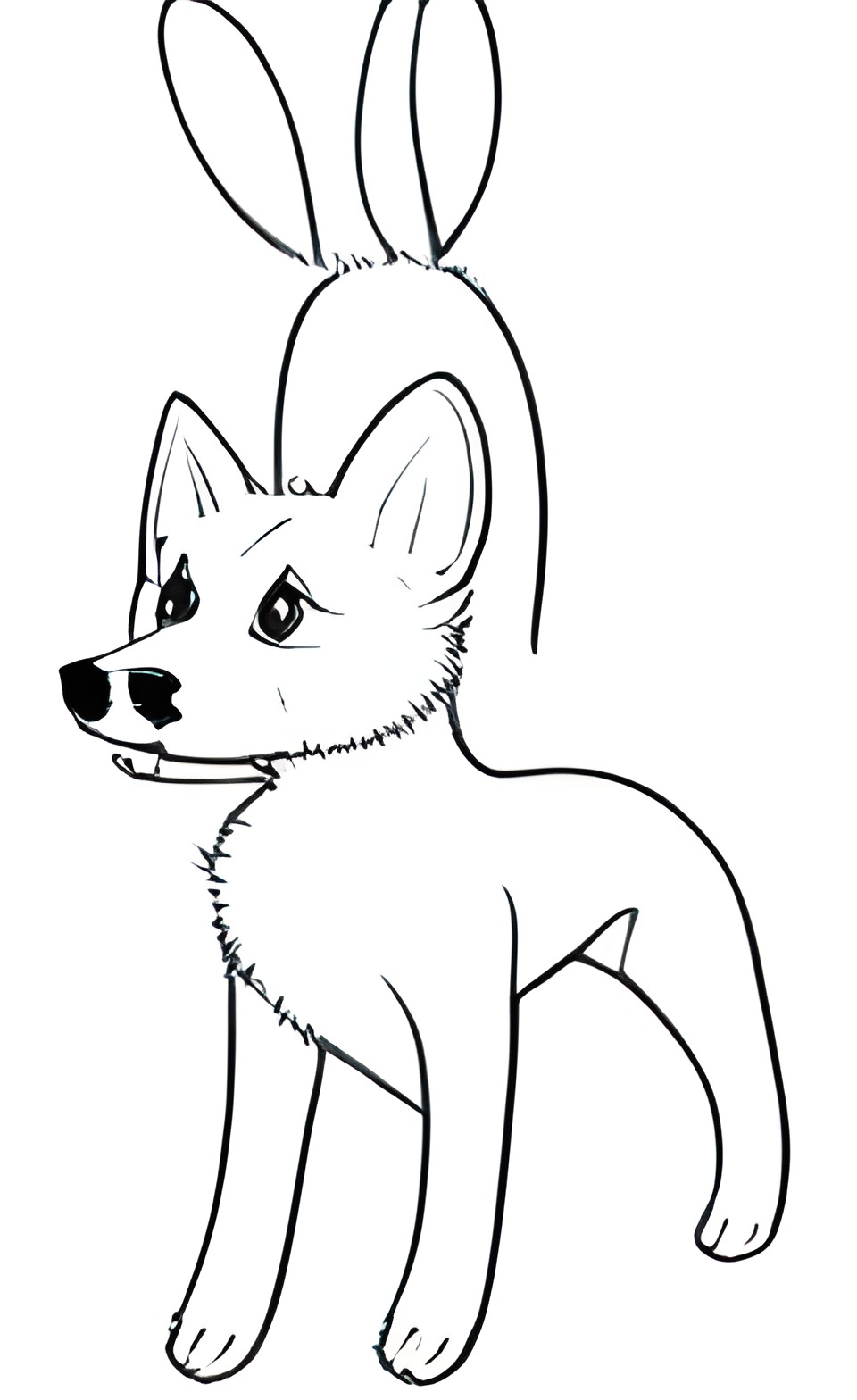 fox dog puffy cute lineart preview