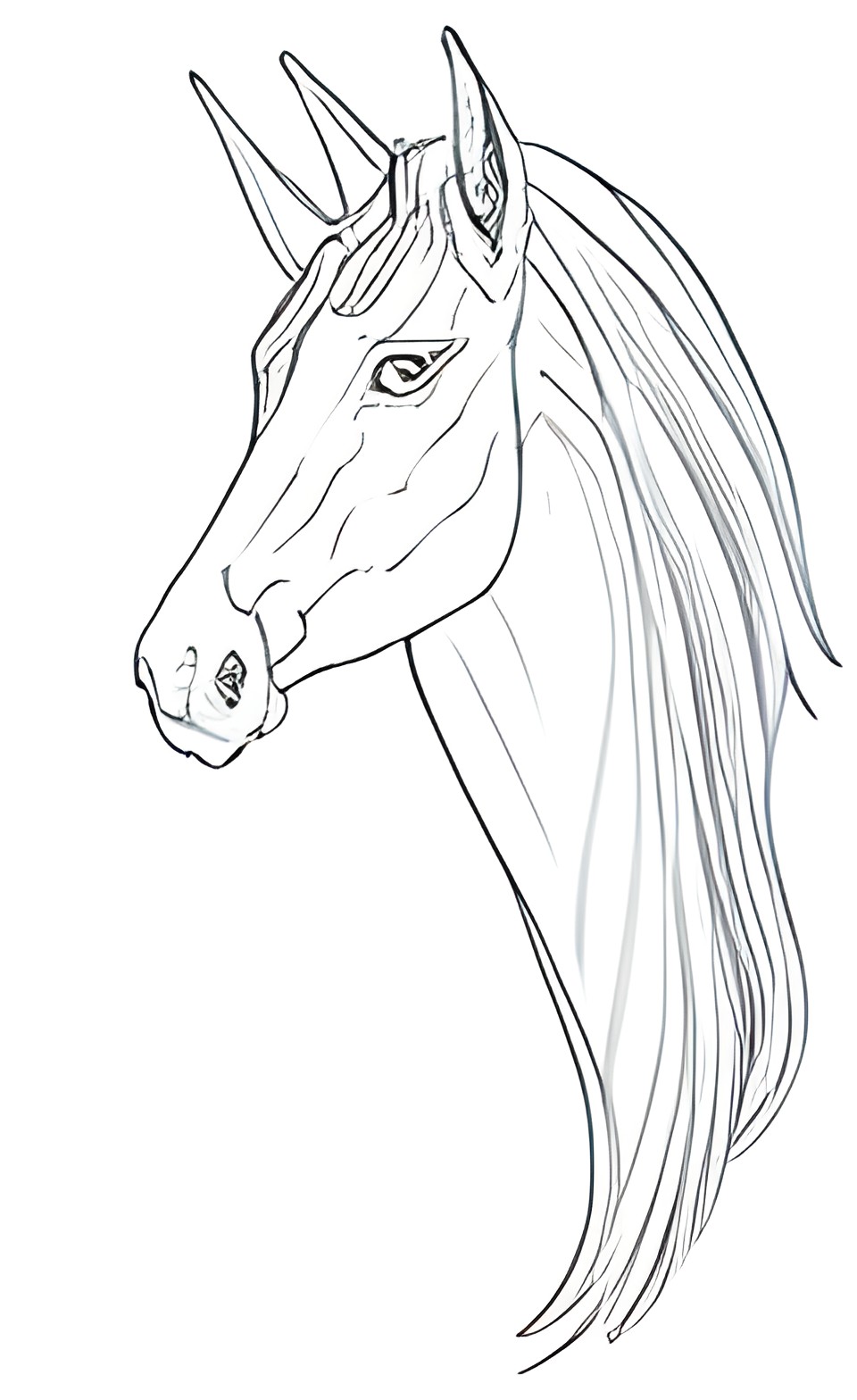 majestic unicorn head simple line art preview