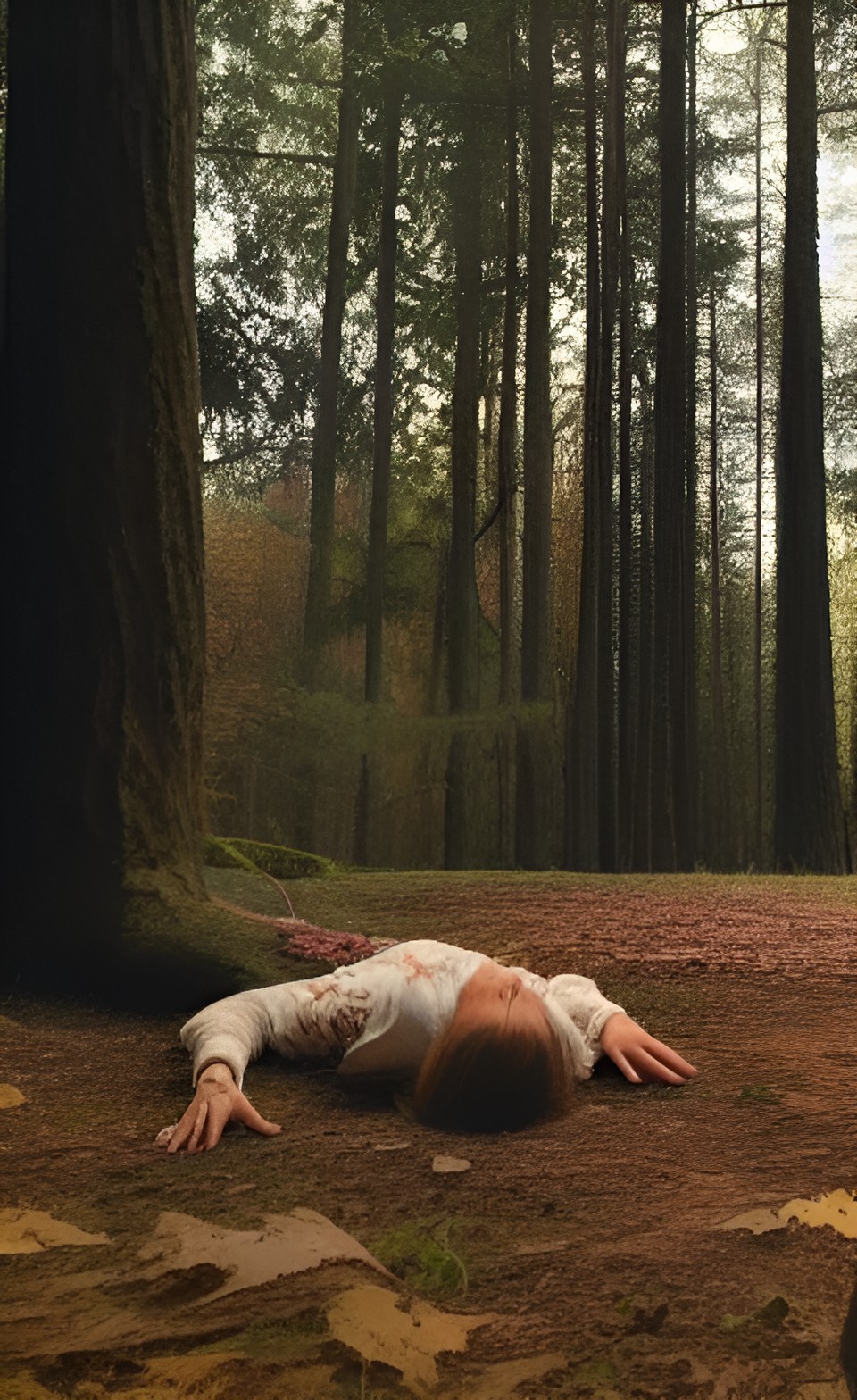 a woman dies violently at the hand of a friend in a forest preview