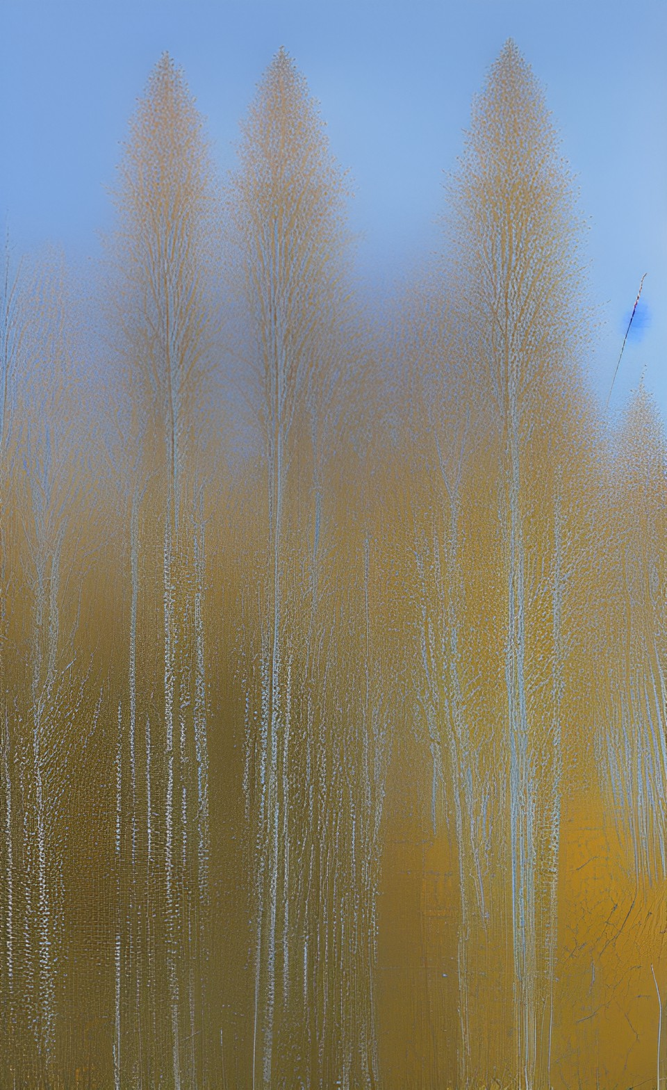 birch trees preview