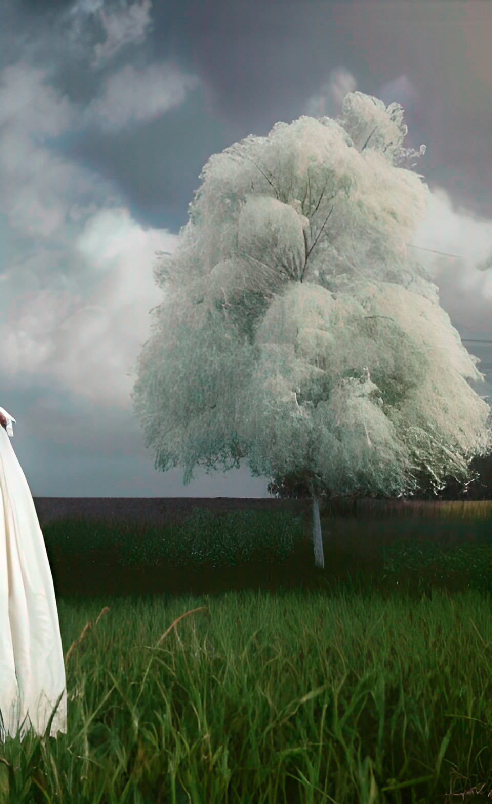 cottage house, white pastures, cotton all around, victorian woman 8k her husband enjoying her presence preview