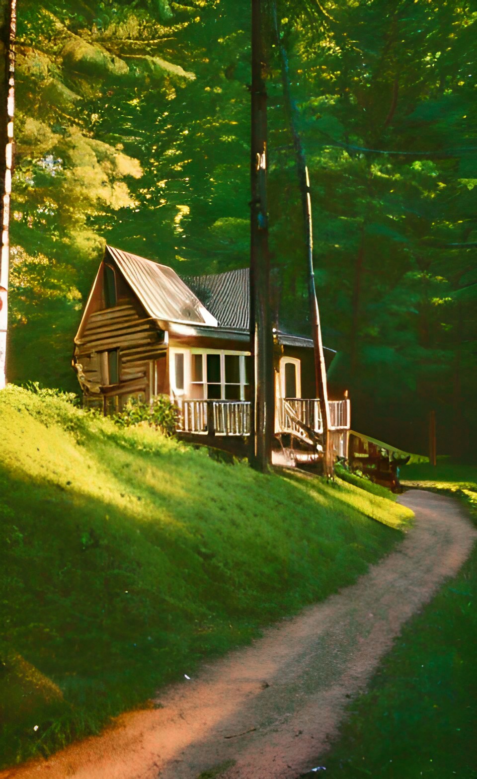 cottage on a wooded hill, golden hour, glittery glossy glowing, dirt path, kodachrome preview