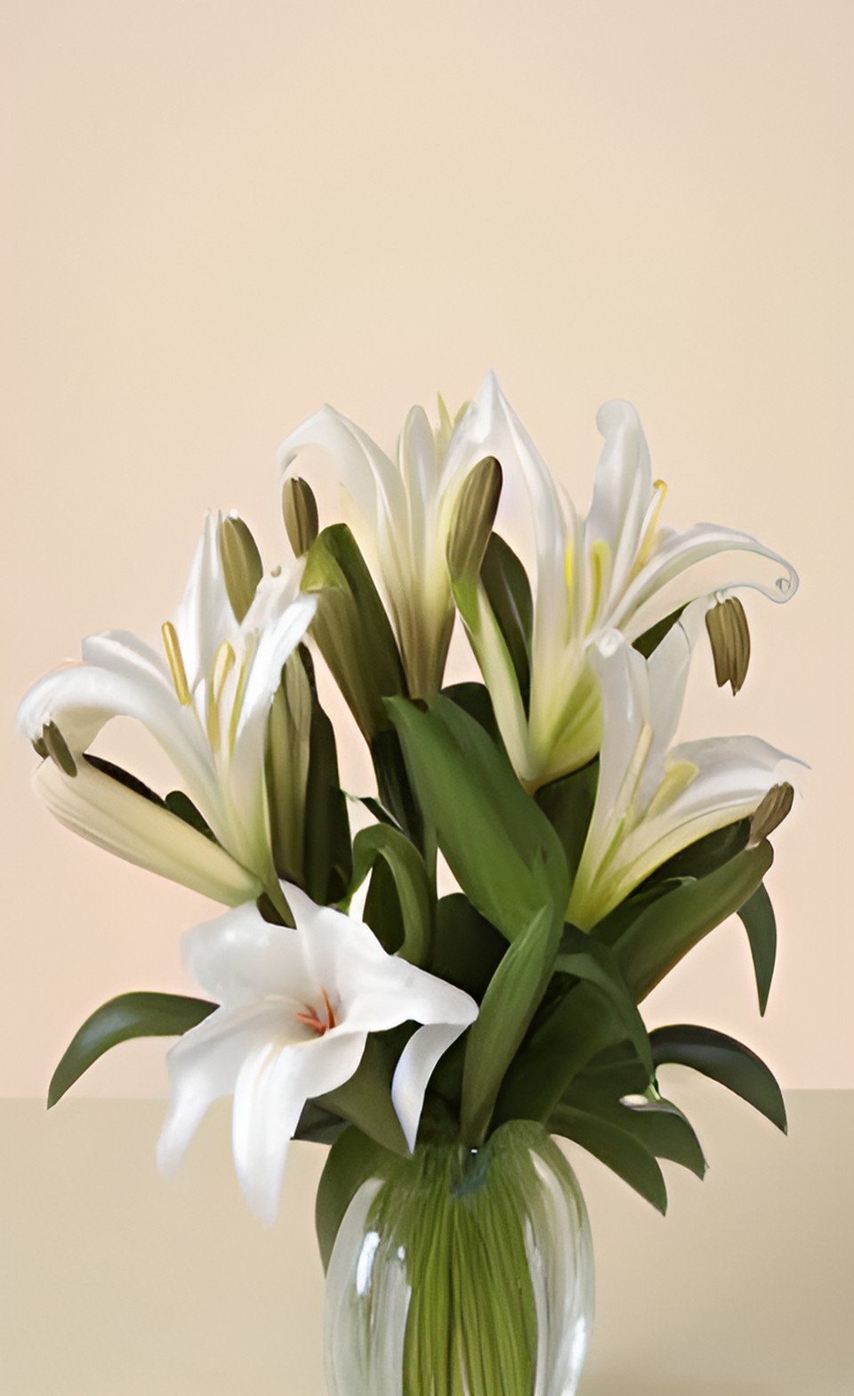 White lilies in a vase - white lilies in a blue chinese vase preview