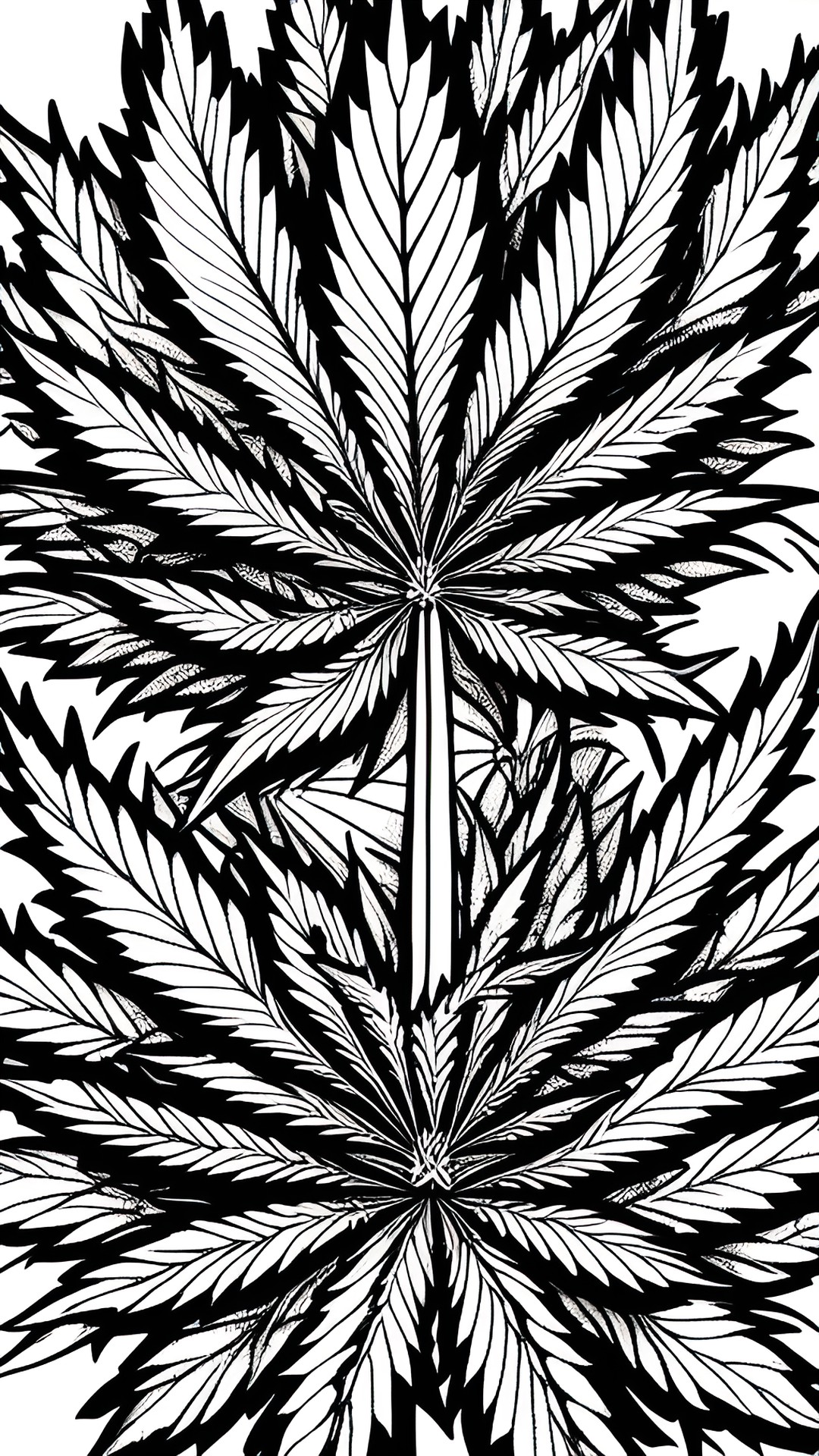 marijuana coloring book black and white preview