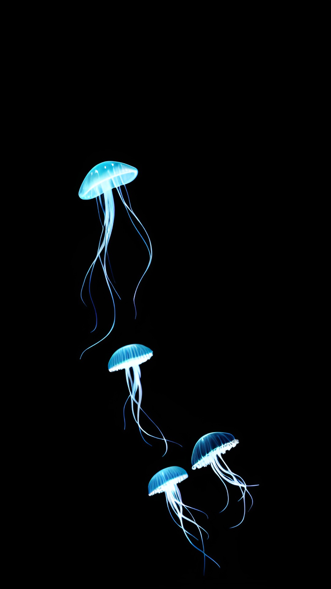 jellyfish preview