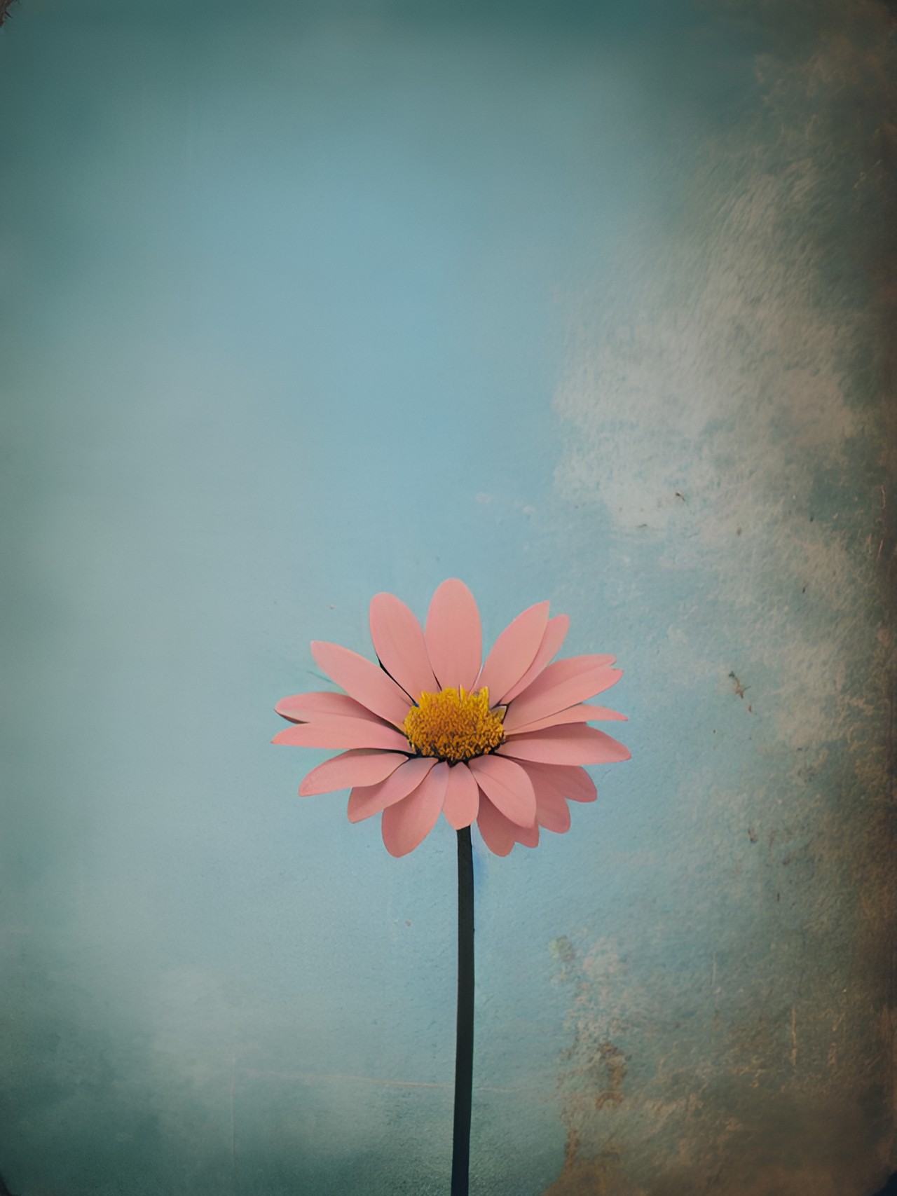 a vintage minimalist flower, pastel colors preview