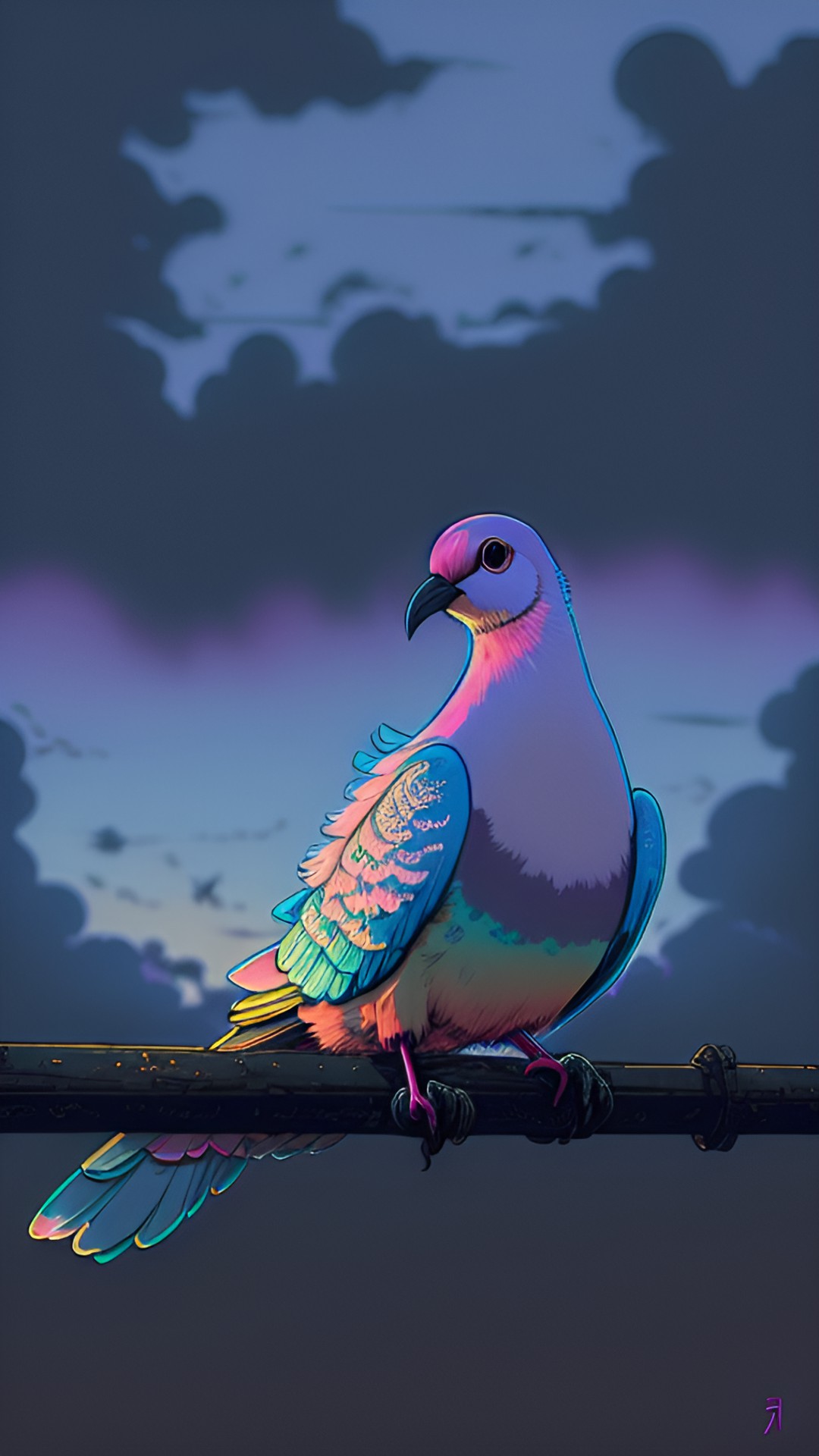 ringneck dove, sunset, pink preview